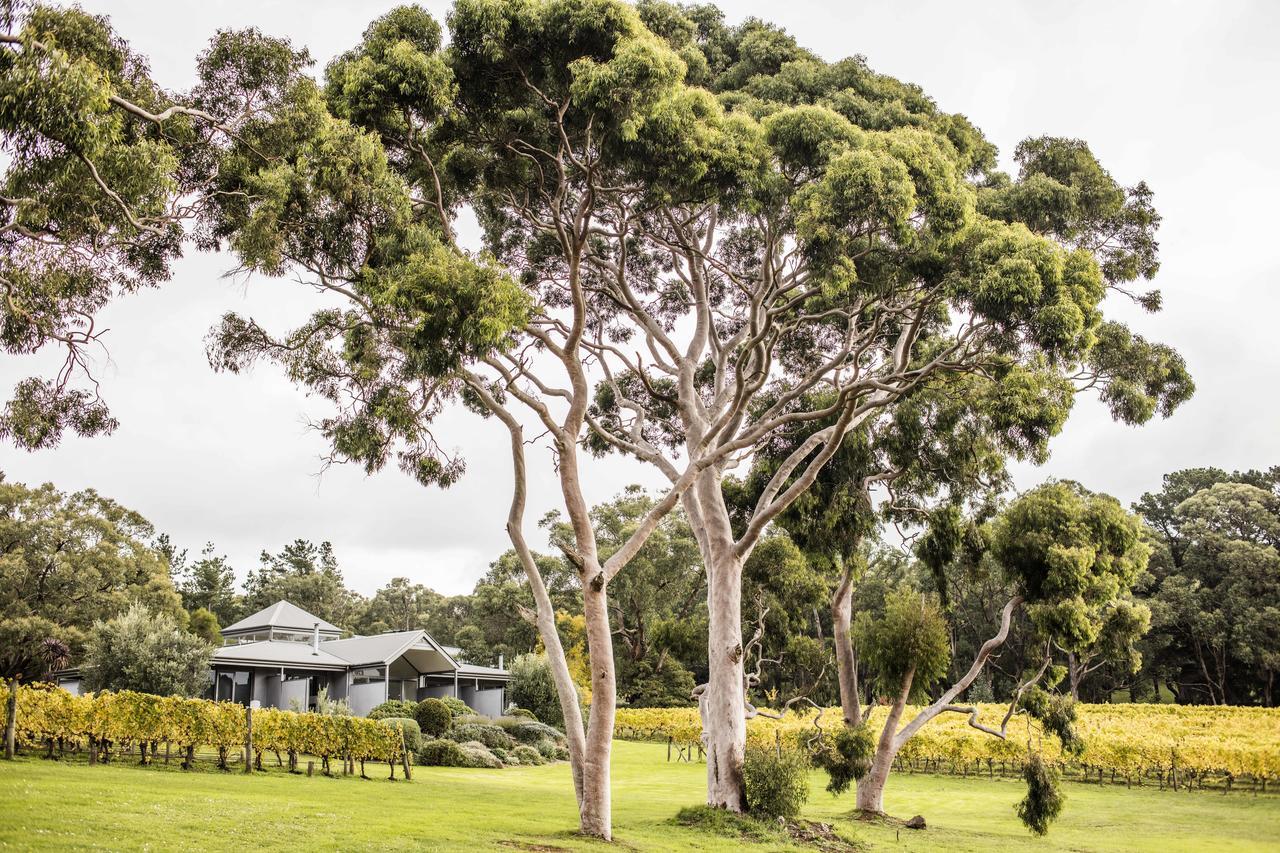 Polperro Villas Red Hill Eksteriør bilde